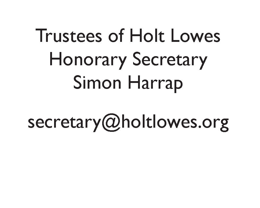 Contact Holt Lowes